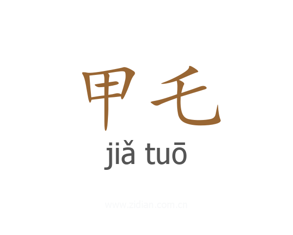 甲乇