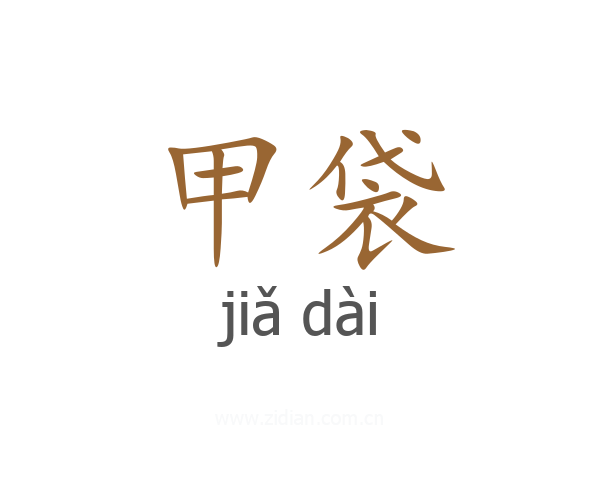 甲袋