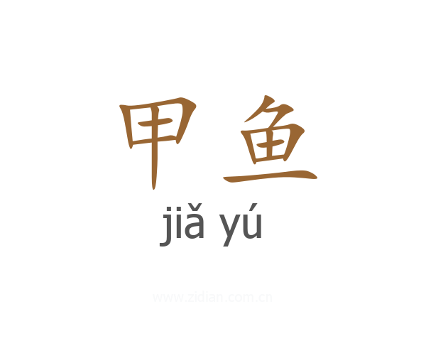 甲鱼
