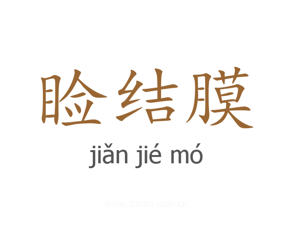 睑结膜