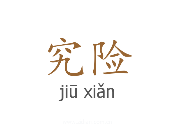 究险