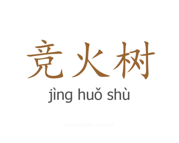 竞火树