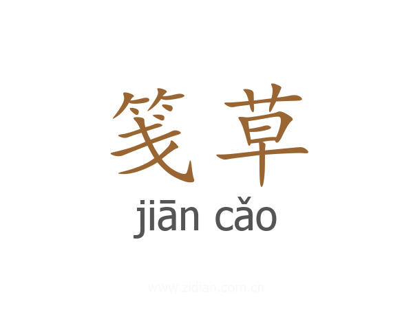 笺草