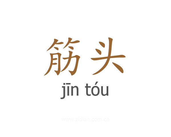 筋头
