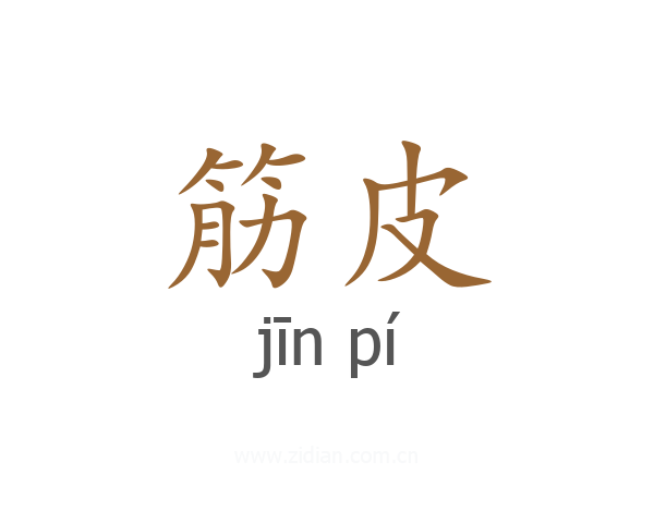 筋皮