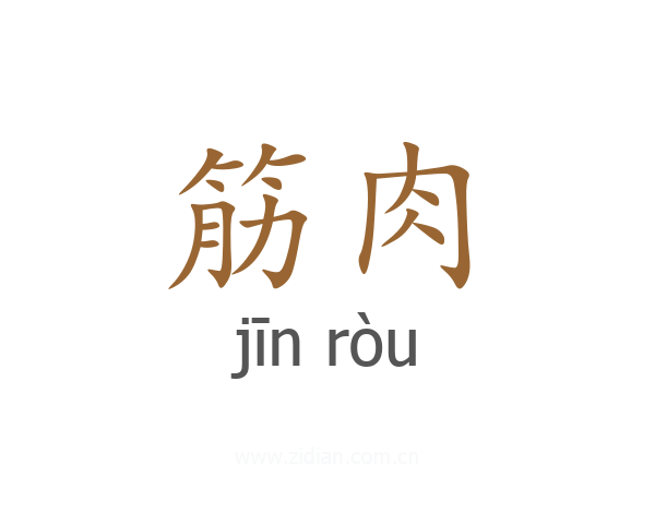 筋肉