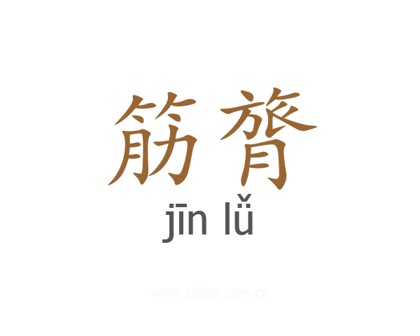 筋膂
