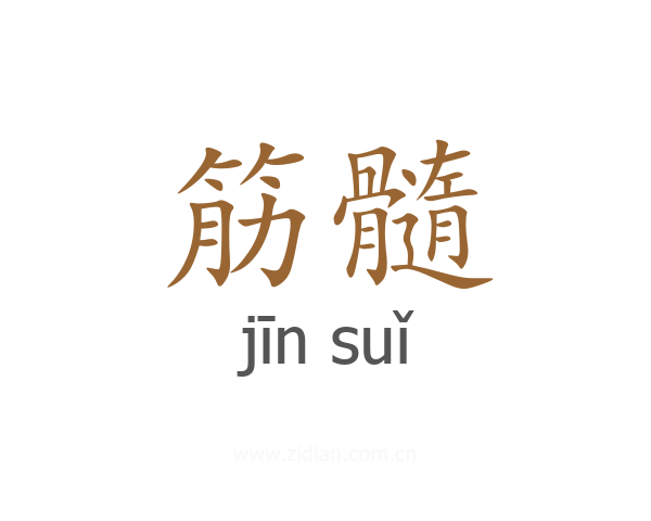 筋髓