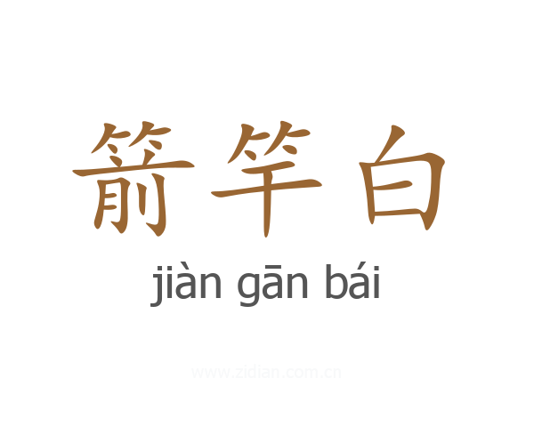 箭竿白