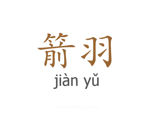 箭羽
