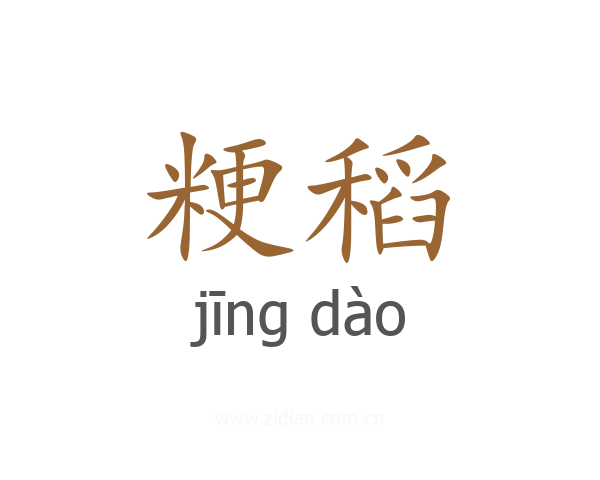 粳稻