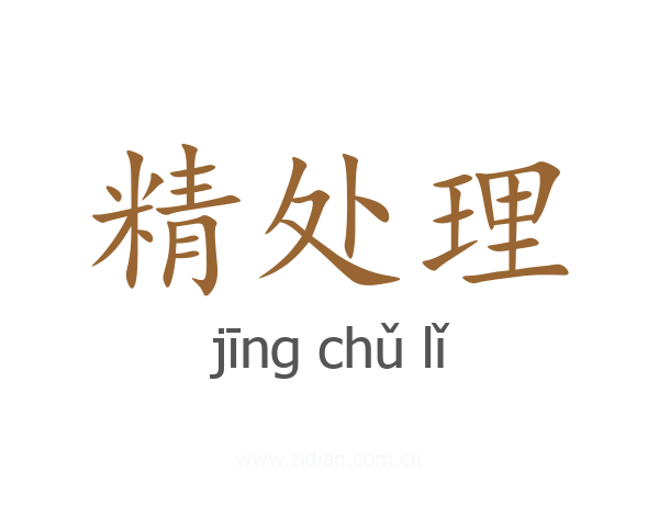 精处理
