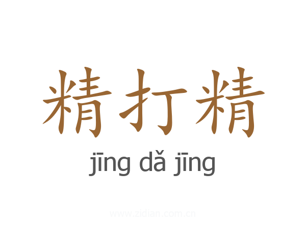 精打精