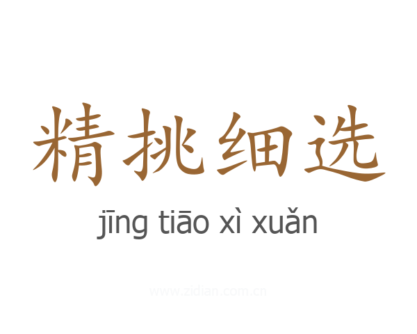 精挑细选
