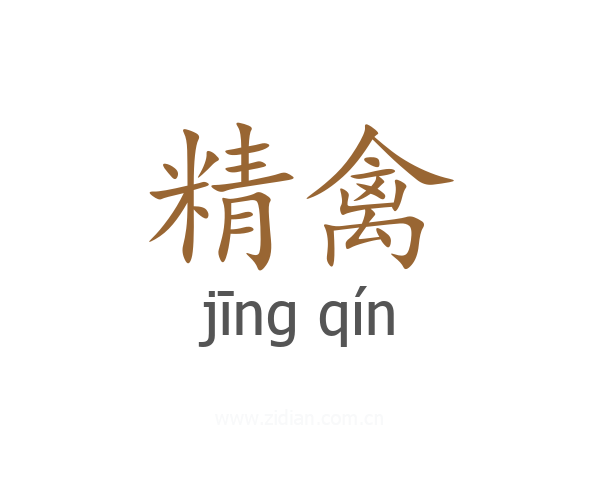 精禽