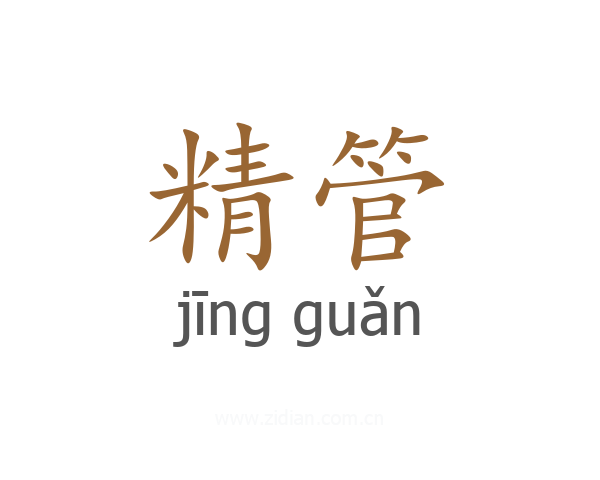 精管