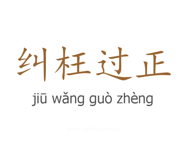 纠枉过正