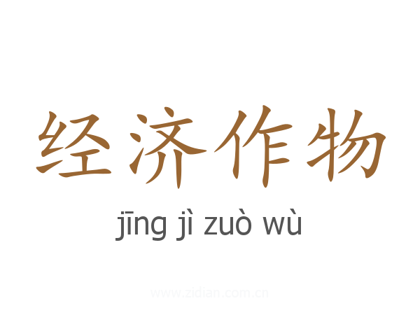 经济作物