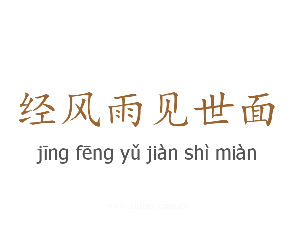 经风雨见世面
