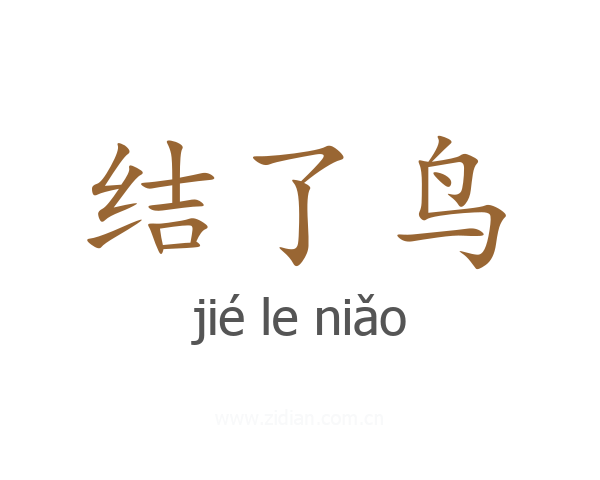 结了鸟