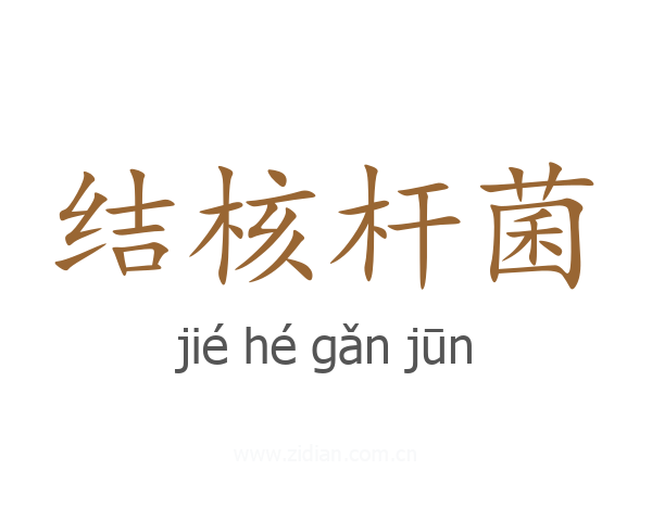 结核杆菌