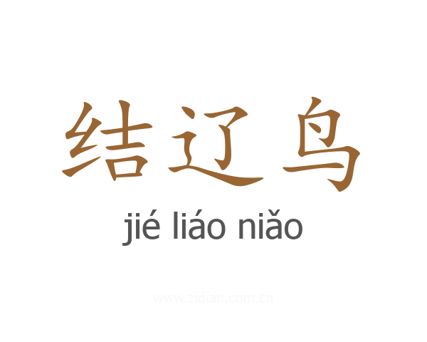 结辽鸟