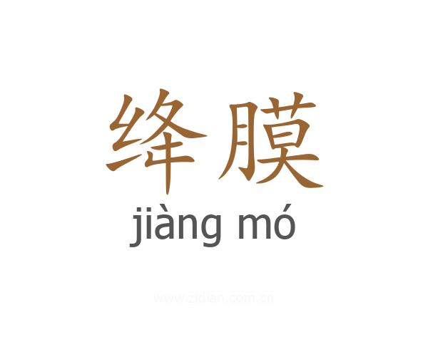 绛膜