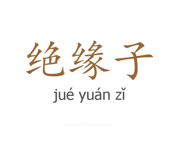 绝缘子