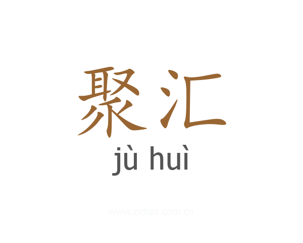 聚汇