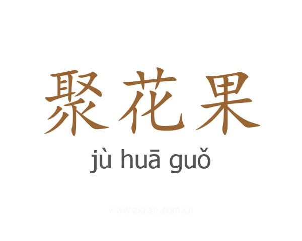 聚花果