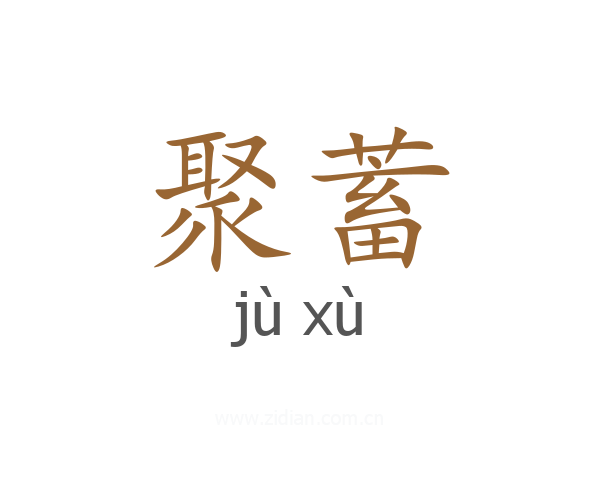 聚蓄