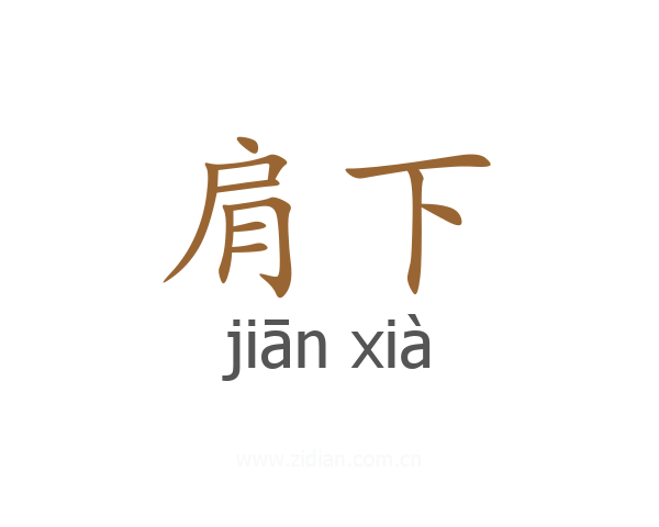 肩下