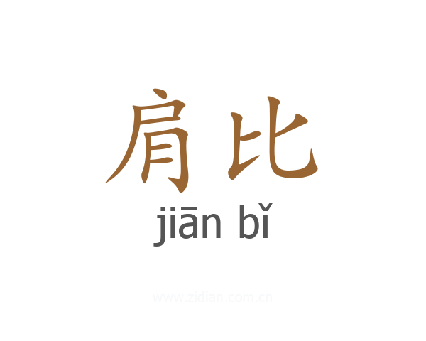 肩比