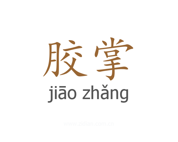 胶掌