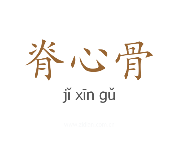脊心骨