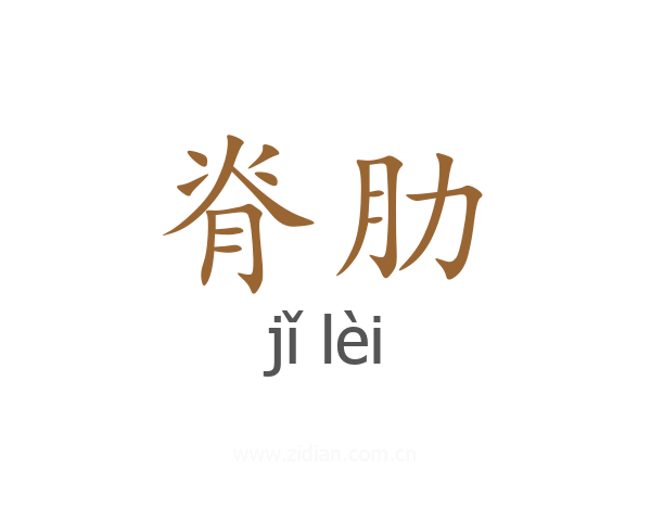 脊肋