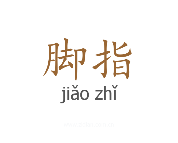脚指