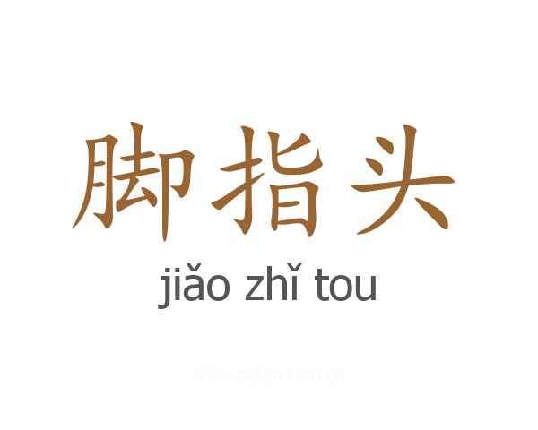 脚指头