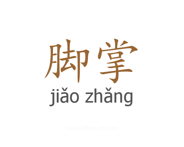 脚掌