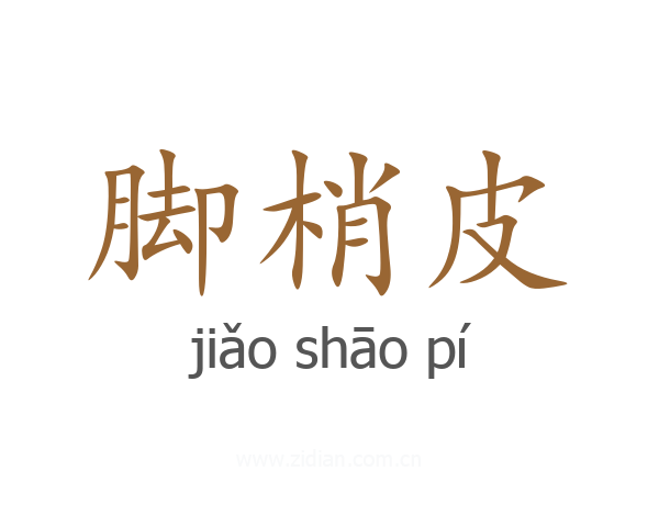 脚梢皮