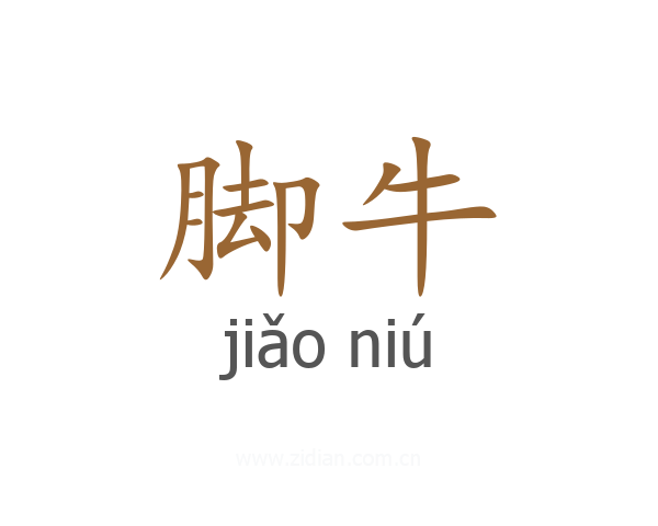脚牛