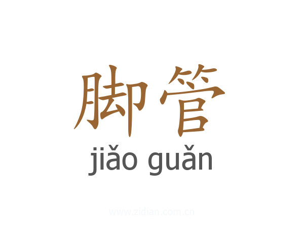 脚管