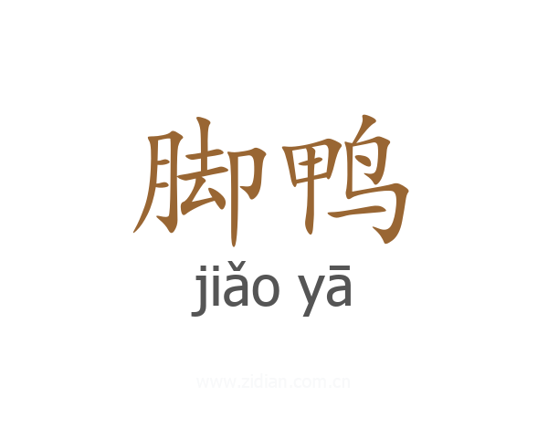 脚鸭