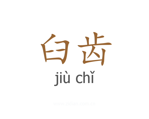 臼齿