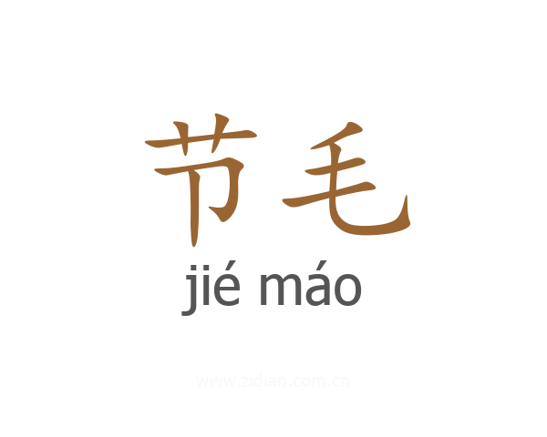 节毛