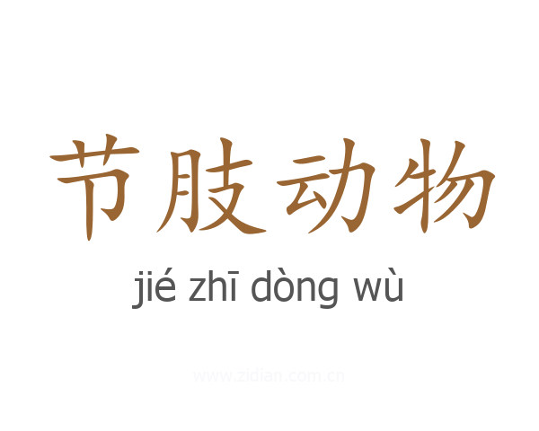 节肢动物