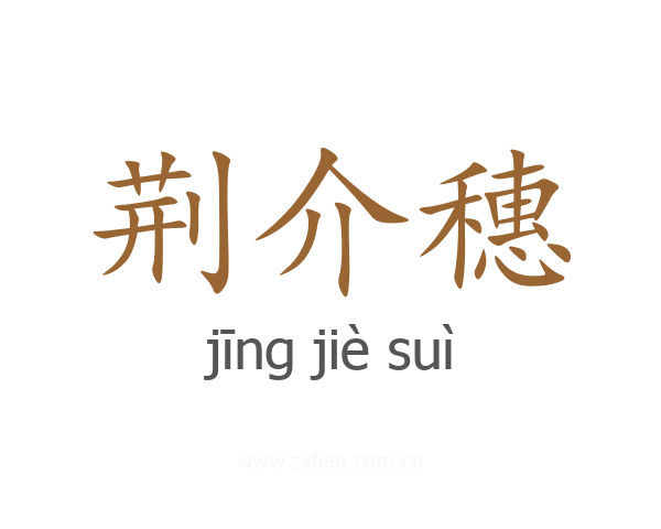 荆介穗