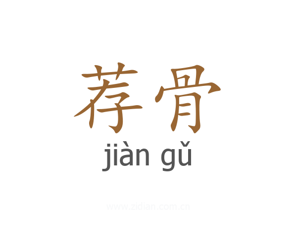 荐骨