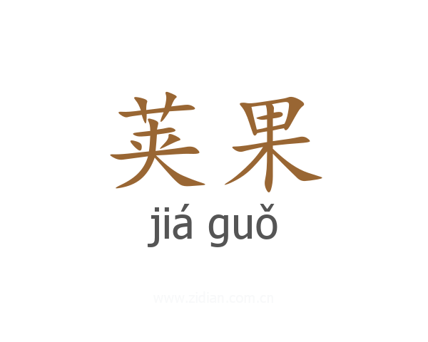 荚果