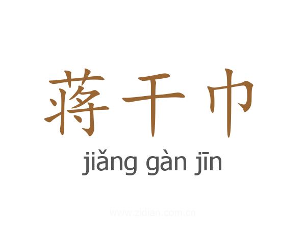 蒋干巾